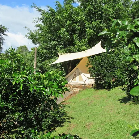Auberge de jeunesse Alouatta Playa Coyote