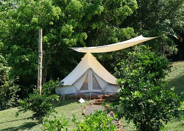 Auberge de jeunesse Alouatta Playa Coyote